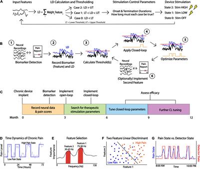 Practical Closed-Loop Strategies for Deep Brain Stimulation: Lessons From Chronic Pain